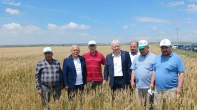 Osmaniye Ziraat Odası Başkanı Bahadır Sezgin, Toprak Mahsulleri Ofisi (TMO)