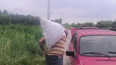 Osmaniye'nin Kadirli ilçesinde bir çiftçi, ürettiği soğanları satamayınca tarlasını halka