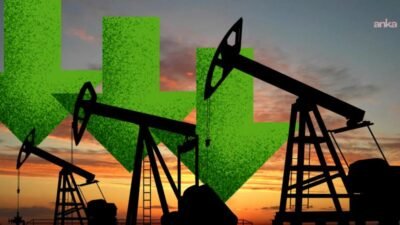 Amoco ve Halliburton şirketlerinde Amerika, Asya ve Afrika'da petrol arama