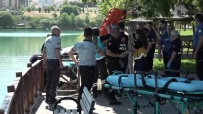 Malatya’nın Battalgazi ilçesinde bulunan Orduzu Pınarbaşı Mesire Alanı’ndaki gölette hareketsiz