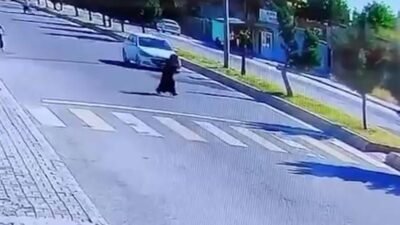 Şanlıurfa’nın Ceylanpınar ilçesinde yolun karşısına geçmeye çalışan kadına otomobil çarptı.