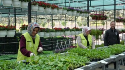 Sebze yetiştirme sezonunun başlamasıyla birlikte, bahçesinde, balkonunda veya terasında kendi