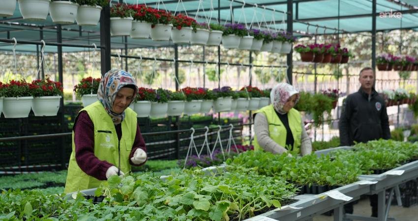 Sebze yetiştirme sezonunun başlamasıyla birlikte, bahçesinde, balkonunda veya terasında kendi