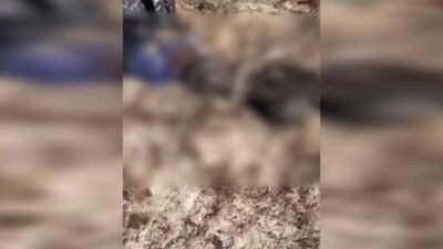 Hakkari'nin Şemdinli ilçesi kırsalında, siyah poşet içerisinde bulunan ceset, bölgede