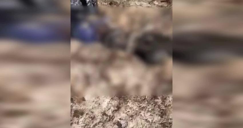 Hakkari'nin Şemdinli ilçesi kırsalında, siyah poşet içerisinde bulunan ceset, bölgede