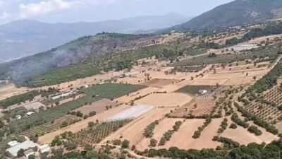 MUĞLA-Muğla'nın Seydikemer ilçesinde tarım arazisinde çıkan yangın ormana sıçradı. Orman