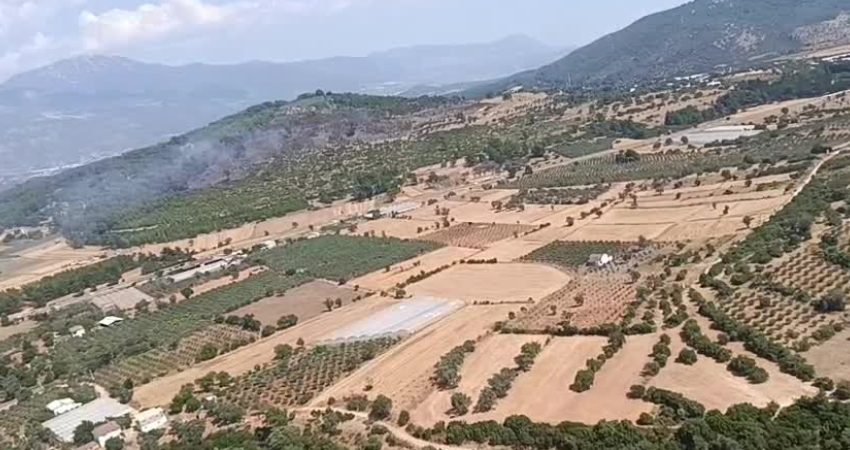 MUĞLA-Muğla'nın Seydikemer ilçesinde tarım arazisinde çıkan yangın ormana sıçradı. Orman