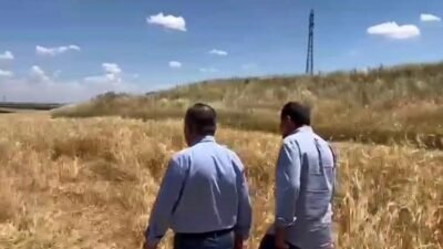 CHP Diyarbakır Milletvekili Sezgin Tanrıkulu, buğday ve arpa alım fiyatlarına