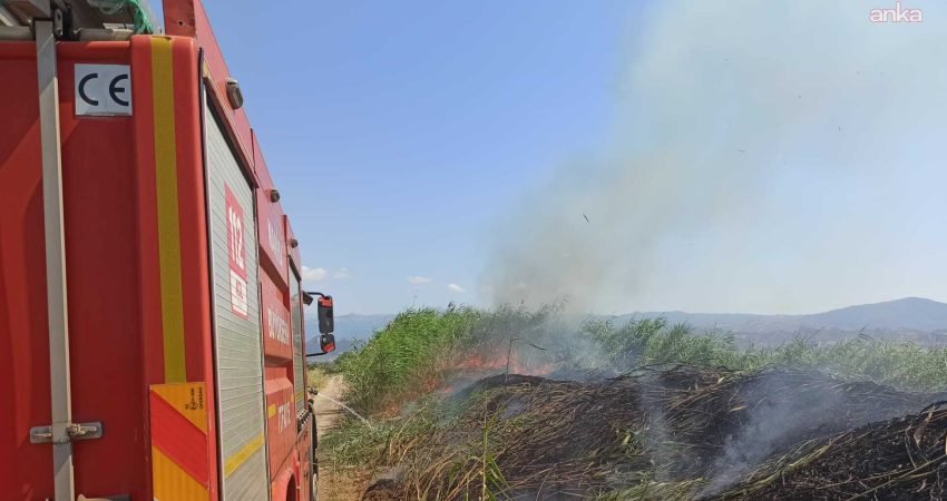 Manisa genelinde etkili olan aşırı sıcak hava, düşük nem ve