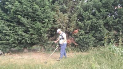 Silivri Belediyesi Park ve Bahçeler Müdürlüğü, yaz aylarının gelmesiyle çalışmalarını