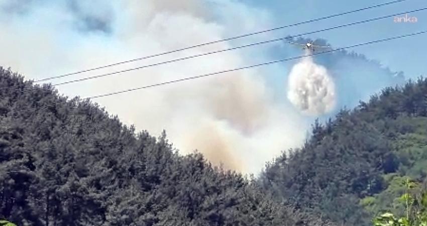 Manisa'nın Soma ilçesinde ormanlık alanda çıkan yangın, ekiplerin havadan ve