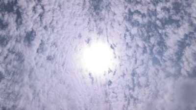 Osmaniye'nin Kadirli ilçesinde 30 dereceyi aşan sıcaklıkta tarlada çalışan 70