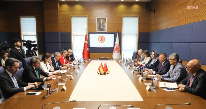 TBMM Dışişleri Komisyonu Başkanı Fuat Oktay, İspanya Senatosu Dışişleri Komisyonu