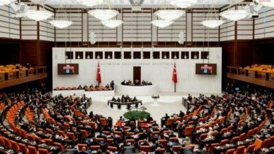 Yeni Yol Grubu Hatay Milletvekili Necmettin Çalışkan, TBMM Genel Kurulu'nda
