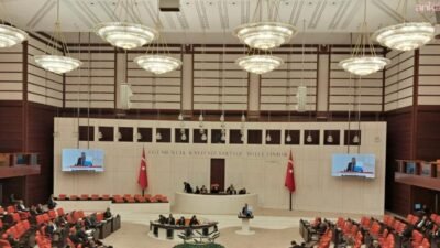 CHP Diyarbakır Milletvekili Sezgin Tanrıkulu, "Türkiye'de Anayasa'da yazılı olan düzen