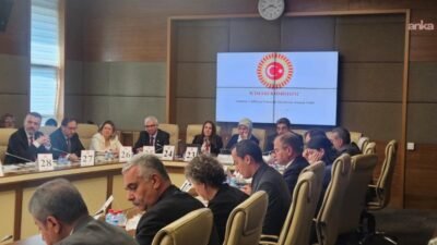 TBMM İşleri Komisyonu'nda Türk Kızılay Kanun Teklifi görüşmeleri sırasında konuşan Komisyon
