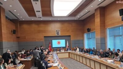 Şanlıurfa ve Kahramanmaraş'taki okullarda yaşanan olaylar ile dijital ortamların çocuklar
