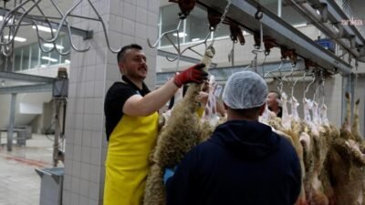 Tekirdağ Büyükşehir Belediyesi, Kurban Bayramı boyunca vatandaşların kurban ibadetlerini sağlıklı,