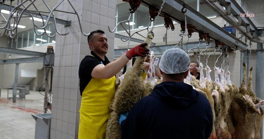 Tekirdağ Büyükşehir Belediyesi mezbahalarında 977 kurbanlık hayvanın kesimi gerçekleştirildi Tekirdağ Büyükşehir Belediyesi, Kurban Bayramı boyunca vatandaşların kurban ibadetlerini sağlıklı,