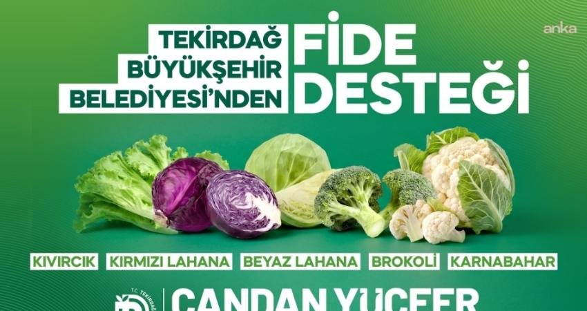 Tekirdağ Büyükşehir Belediyesi’nin fide desteği programına başvurular başladı Tekirdağ Büyükşehir Belediyesi, tarımsal üretimi desteklemek ve üreticilerin girdi maliyetlerini