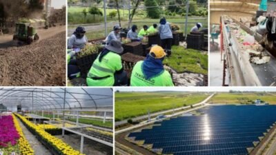 Tekirdağ Büyükşehir Belediyesi, deniz temizliğinden atık yönetimine, yenilenebilir enerji yatırımlarından