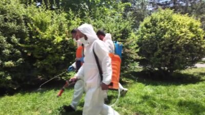 Tepebaşı Belediyesi, yaz aylarında artış gösterebilecek sinek, böcek ve larva