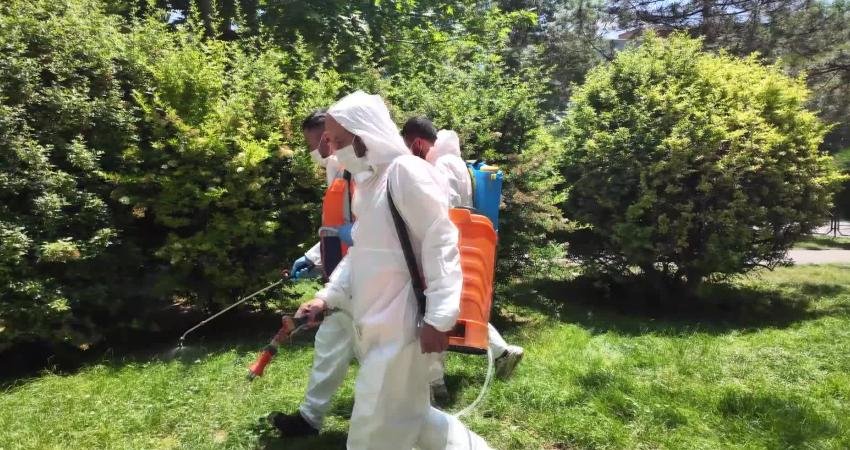 Tepebaşı Belediyesi, ilaçlama çalışmalarına hız verdi Tepebaşı Belediyesi, yaz aylarında artış gösterebilecek sinek, böcek ve larva