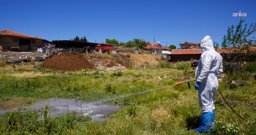 Tepebaşı Belediyesi Veteriner İşleri Müdürlüğü ekipleri, yaz aylarında artış gösteren
