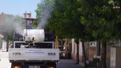 Tepebaşı Belediyesi Veteriner İşleri Müdürlüğü, ilçe genelinde sivrisinek, karasinek ve