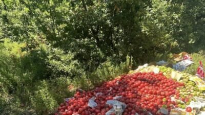 Ticaret Bakan Yardımcısı Mahmut Gürcan, Çanakkale'de sebze dökülmesiyle ilgili görüntülere