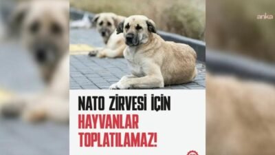 Türkiye İşçi Partisi (TİP) Hayvan Hakları Komisyonu, Ankara İl Emniyet