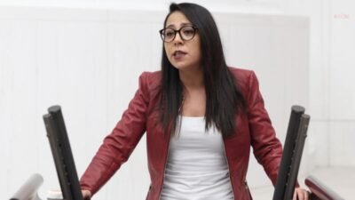 TİP İstanbul Milletvekili Sera Kadıgil,özel okul patronlarının derneği TÖDER’in Babalar