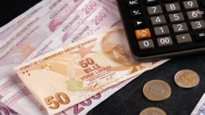 Türkiye İstatistik Kurumu'nun (TÜİK) verisine göre, sanayi, inşaat, ticaret ve hizmet