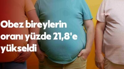 Türkiye İstatistik Kurumu'nun (TÜİK) verisine göre, 2025 yılında 15 yaş