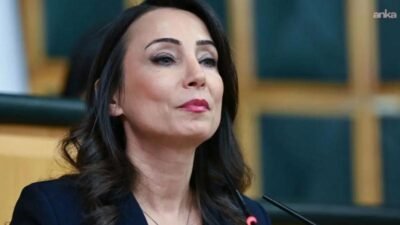 DEM Parti Eş Genel Başkanı Tülay Hatimoğulları, "Üniversite sınavına girecek