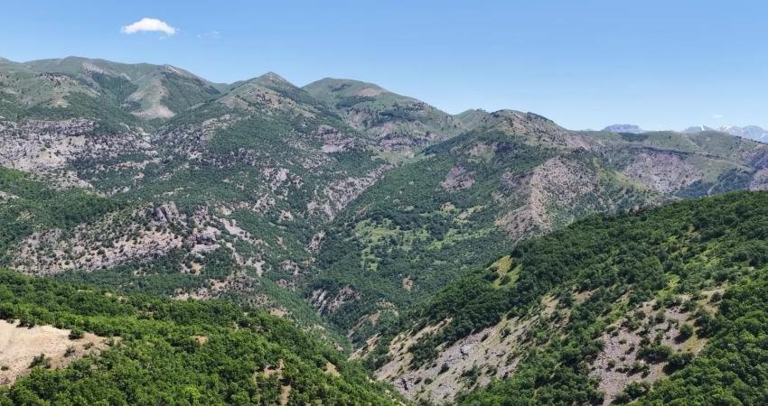 Tunceli'de 1987 yılında güvenlik gerekçesiyle boşaltılan Merkez'e bağlı Bali Mezrası'na