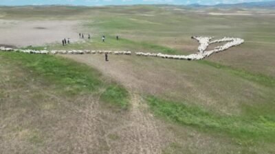 Malatya’da küçükbaş hayvan yetiştiricileri, geleneksel yayla sezonuna bu yıl aşırı