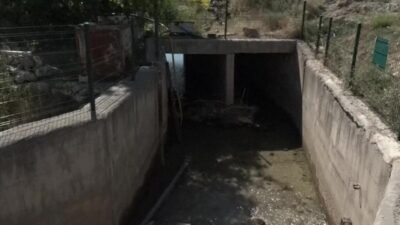 Malatya'nın Yeşilyurt ilçesinde dalbastı kirazı üreticileri, kirazların olgunlaşma dönemine girdiği