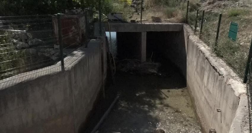 Malatya'nın Yeşilyurt ilçesinde dalbastı kirazı üreticileri, kirazların olgunlaşma dönemine girdiği