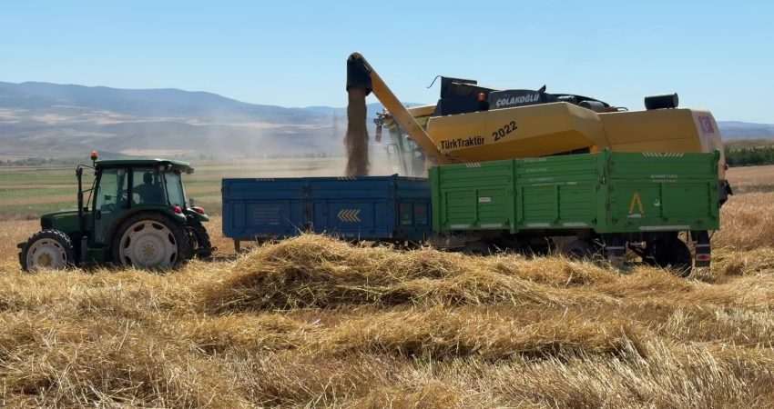 Yozgat’ta hububat hasadına, diğer bölgelere göre iklimi daha sıcak olan
