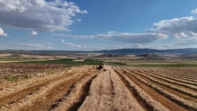 Yozgat’taki hububat üreticileri önceki yıllarda gerçekleşen üretim rekoltesi dikkate alınarak