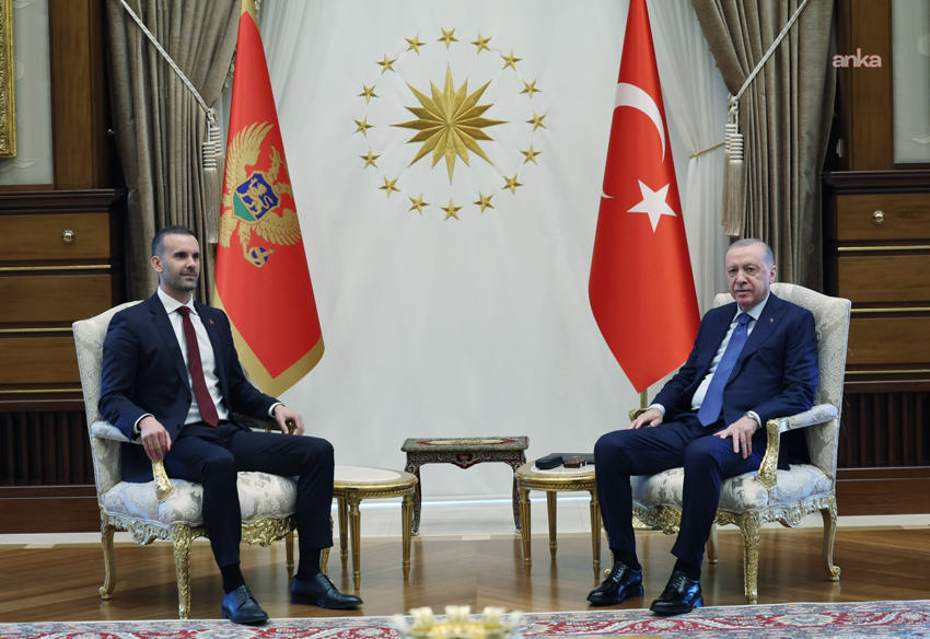 Cumhurbaşkanı Recep Tayyip Erdoğan, NATO Liderler Zirvesi kapsamında Ankara'da bulunan