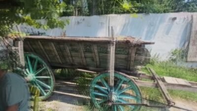 Kars'ın Arpaçay ilçesine bağlı Karakale Köyü'nden Zeki Hükümdar, 12 yıl