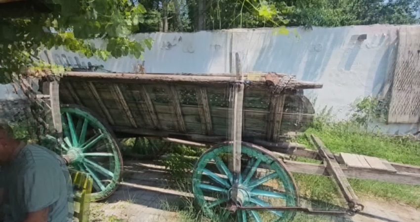 Kars'ın Arpaçay ilçesine bağlı Karakale Köyü'nden Zeki Hükümdar, 12 yıl