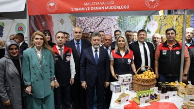 Malatya'da zirai don nedeniyle geçen yıl düzenlenemeyen 28. Uluslararası Malatya
