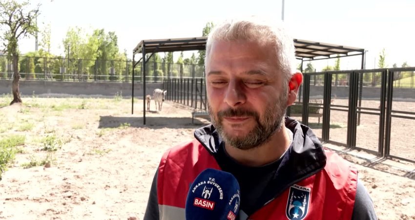 Ankara Büyükşehir Belediyesi tarafından 1 milyon metrekarelik alanda hizmete açılan