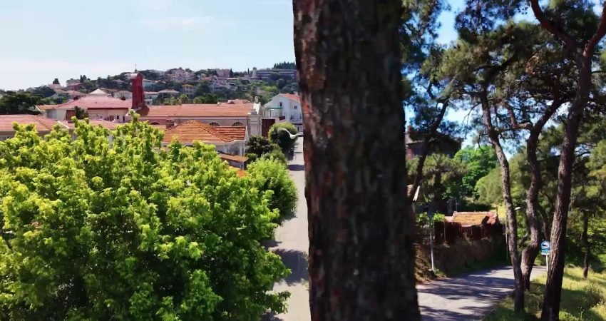 İBB sürdürülebilir şehirler ve iklim değişikliğiyle mücadele hedefleri doğrultusunda atık