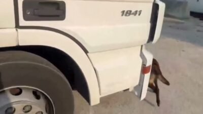 Adana'da emniyet ekipleri tarafından şüphe üzerine durdurulan araçta yapılan aramada