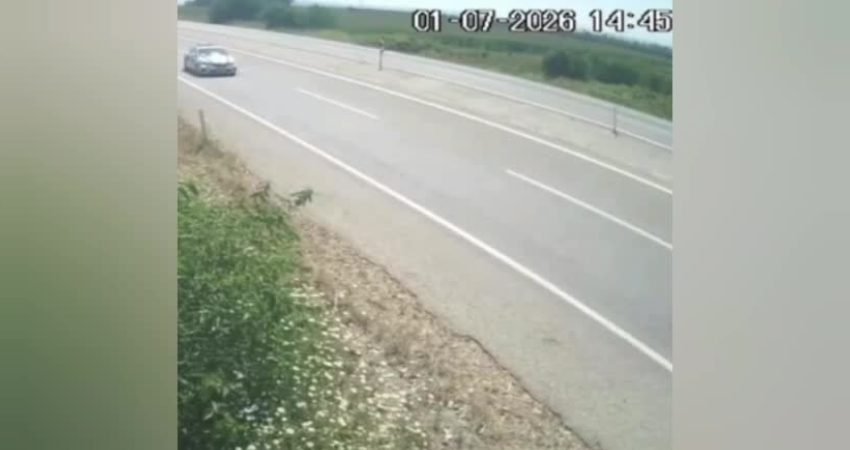 Adana’nın Kozan ilçesi İmamoğlu karayolunda meydana gelen trafik kazasında 2