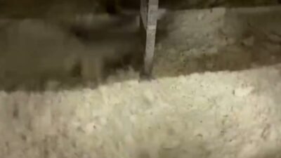 Adıyaman Belediyesi Halk Ekmek, ekmek israfını azaltmak ve aile bütçesine